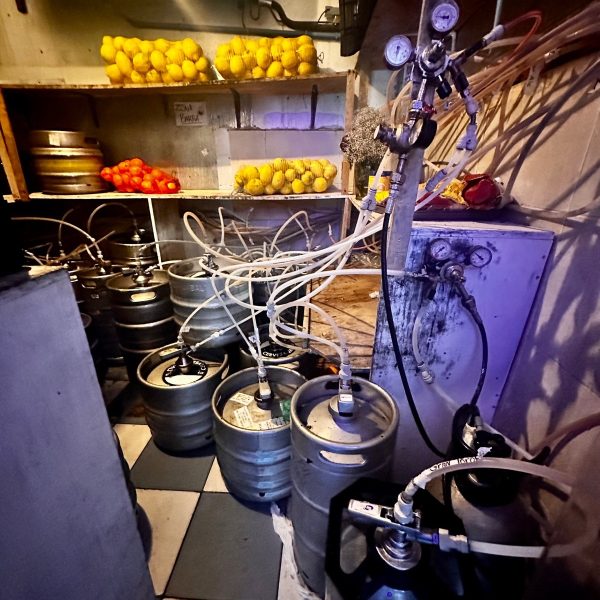 WhatsApp Image 2024-11-28 at 10.13.17