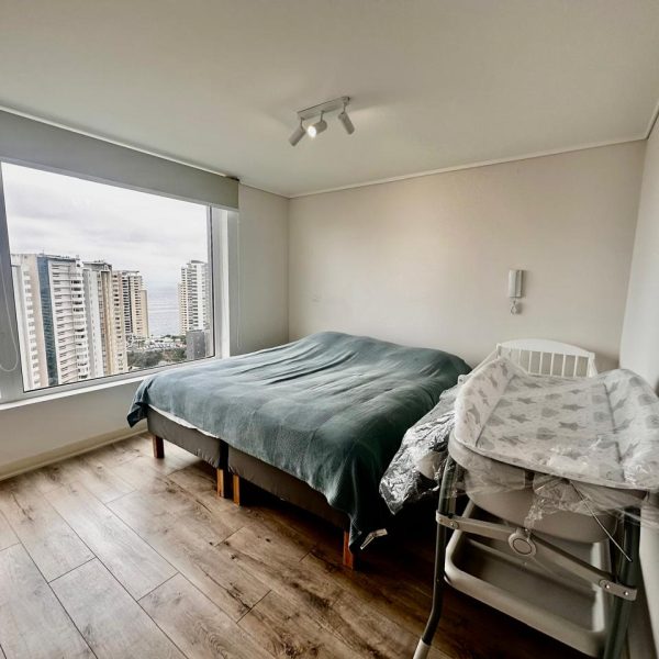 WhatsApp Image 2025-01-16 at 09.23.20 (14)