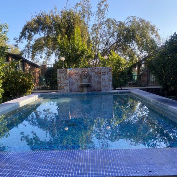 WhatsApp Image 2025-09-23 at 13.09.48 (2)