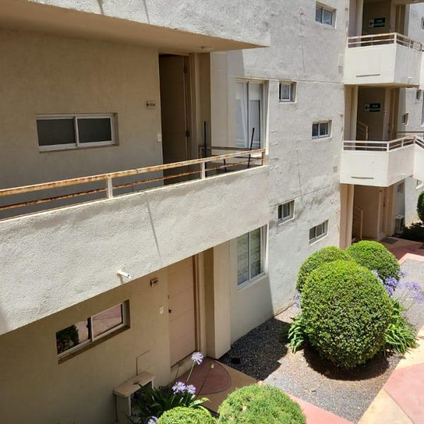 WhatsApp Image 2026-03-04 at 16.51.10