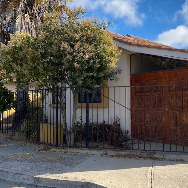 WhatsApp Image 2026-04-02 at 12.48.57