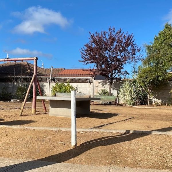 WhatsApp Image 2026-04-02 at 12.48.58 (1)