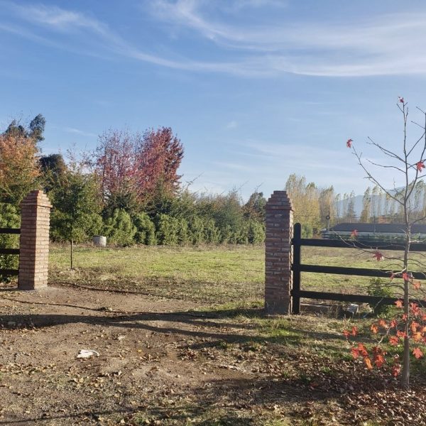 dcf60a1d-75de-4467-a0f5-2d22b52ccc33